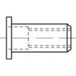 TOOLCRAFT TO-5455314 slepá nitovacie matice M5 500 ks; TO-5455314