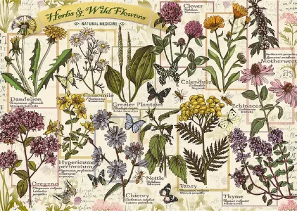 Trefl - Puzzle - Herbarium: Liečivé byliny