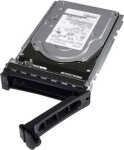 Dell 12TB 3.5'' SAS-3 (12Gb/s) (161-BCJX?/S1)