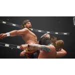 Plaion Gra Xbox One/Xbox Series X AEW: Fight Forever