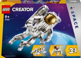 LEGO® Creator 31152