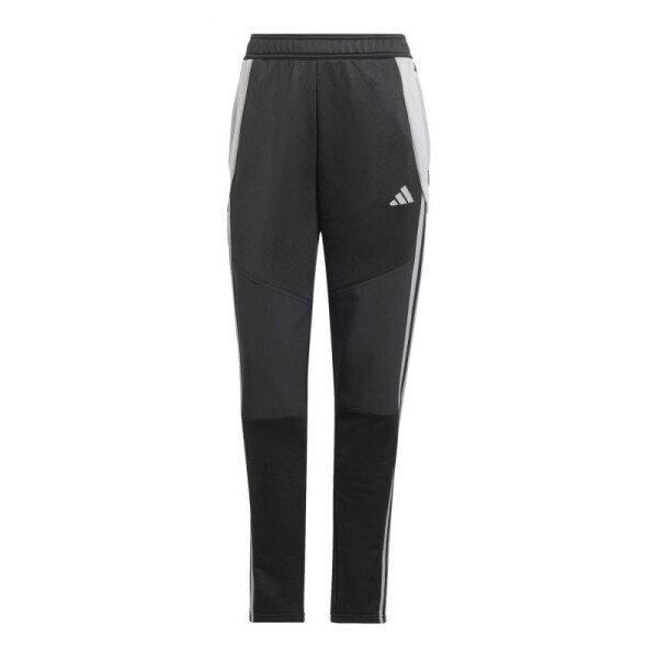 Nohavice adidas Tiro 24 Winter W IX7887 women L (173 cm)