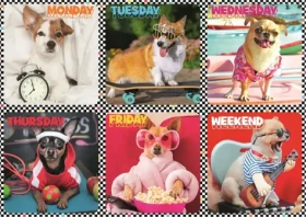 Trefl - Puzzle - Veselí Psíci