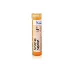 ARNICA MONTANA CH15 granule 4 g