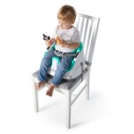BABY EINSTEIN Podsedák na stoličku s 2 hračkami 2v1 Dine & Discover 6m+ do 23 kg