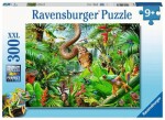 Ravensburger Domov plazov