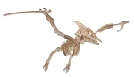 Woodcraft Drevené 3D puzzle Pterosaur
