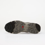 Tenisky Salomon XT-4 OG GTX Paloma/ Cloudb/ Ftw Silve EUR 37 1/3