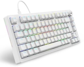 Sharkoon Sharkoon Gaming Tastatur Skiller SGK25 weiß DE
