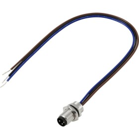 TRU COMPONENTS prívodný kábel , TC-13751896, piny: 3, 0.2 m, 1 ks; TC-13751896