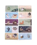 FILIBABBA Puzzle - Nájdi môj domov - Find my Home puzzle