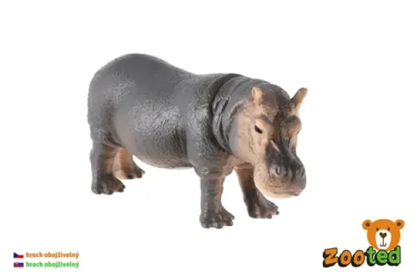 ZOOTED Hroch obojživelný