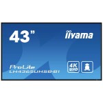 Iiyama ProLite LH4365UHSB-B1