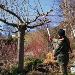 Teleskopické predĺženie FELCO 834/100 (1500 - 2450 mm)