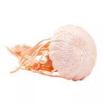 Safari Ltd. Safari Ltd. Figúrka - Medúza