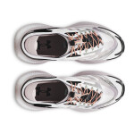 Tenisky Under Armour Echo Gray EUR 41