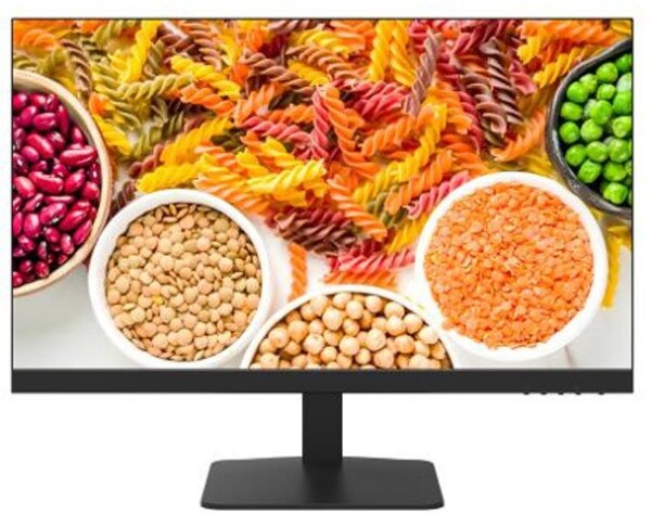 Hikvision DS-D5024F2-1P2 Monitor Hikvision