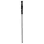 Bosch Accessories 2608596341 šalovací vrták 20 mm Celková dĺžka 400 mm valcová stopka 1 ks; 2608596341