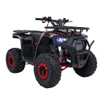 Mamido Detská benzínová štvorkolka RamiGO DISCOVERER 125CC čierno-červená