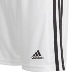 Šortky Squadra 21 Adidas