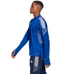 Pánsky tréningový top adidas Condivo 21 Primeblue GE5421