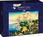 BlueBird Puzzle Tokaido Shinagawa