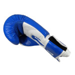 Kožené boxerské rukavice MASTERS RBT-TRW 01210-02 modrá