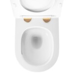 REA - Závesná WC misa Carlo Mini Tornado NFQ GOLD WHITE REA-C6006