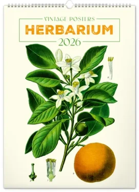 NOTIQUE Nástenný kalendár Vintage plagáty - herbár 2026, 33 x 46 cm (PGN-35185)