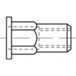 TOOLCRAFT TO-5444328 slepá nitovacie matice M8 ocel 100 ks; TO-5444328