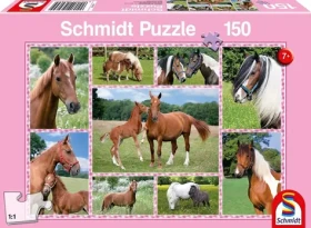 Schmidt Puzzle Nádherné kone