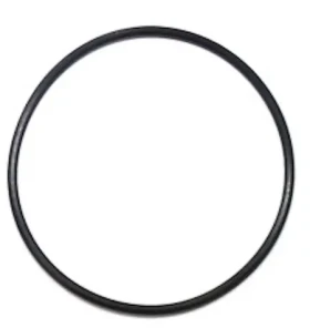 O-krúžok tesnenia ventilu filtrácie ProStar Profi 8, ProfiStar, Sol / Náhradný diel / Tesnenie (7282)