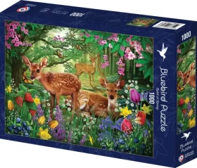 BlueBird Puzzle Duch jari