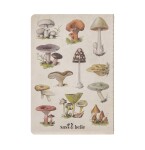 Sass & belle Notes Vintage Mushrooms A5