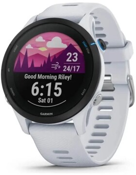 Garmin Forerunner 255 Music 46 mm, Whitestone