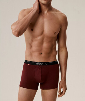 Boxerky Atlantic 3MH-011/25 A'3 S-2XL fialovo-černo-khaki L