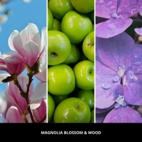 Millefiori Magnolia Blossom Wood ružová / Vôňa do auta / bergamot, jablko, pačuli, ruža (18CAR64)
