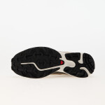 Tenisky Salomon XT-6 Almond Milk/ Portabella/ Ice Fl EUR 45 1/3