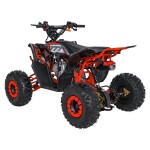 Mamido Detská benzínová štvorkolka RamiGO DESERT STORM LIFT 125CC červená