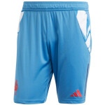 Pánske šortky adidas France Gym blue JC7182 L