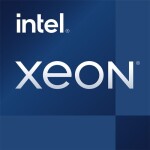 Intel Xeon E-2386G, 3.5 GHz, 12 MB, OEM (CM8070804494716)