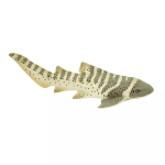 Safari Ltd. Safari Ltd. Rôznozubec pruhovaný