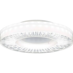 RIDI SPI0000076 SPI0000076 LED stropné svietidlo LED; SPI0000076