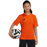 Adidas Table 23 Jersey Jr JJ1157 tričko 164CM