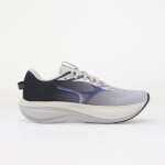 Tenisky Mizuno Wave Rider 30 Special Pack Vulcan/ Lilac Hint/ Moonlit Ocean EUR 44.5