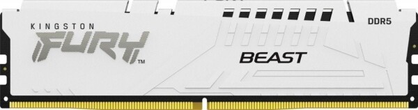 Kingston 16GB DDR5-6000MHz KF560C36BWE-16