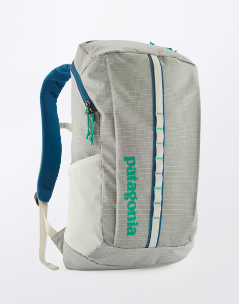 Patagonia Black Hole Pack 25L Birch White