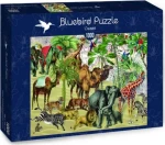 BlueBird Puzzle Púšť