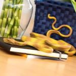 Safari Ltd. Safari Ltd. Hlaváčovec orinocký