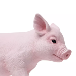 Safari Ltd. Safari Ltd. Sele